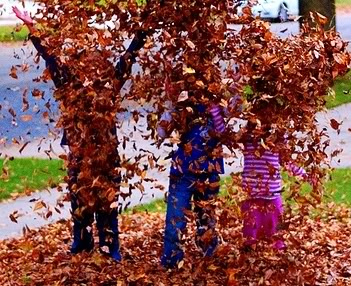 Free Leaf Pick-Up Day!